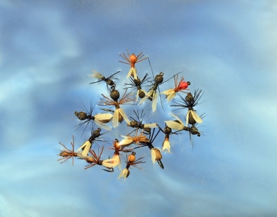Летающие муравьи и их имитация. Как вязать нахлыстовые мушки